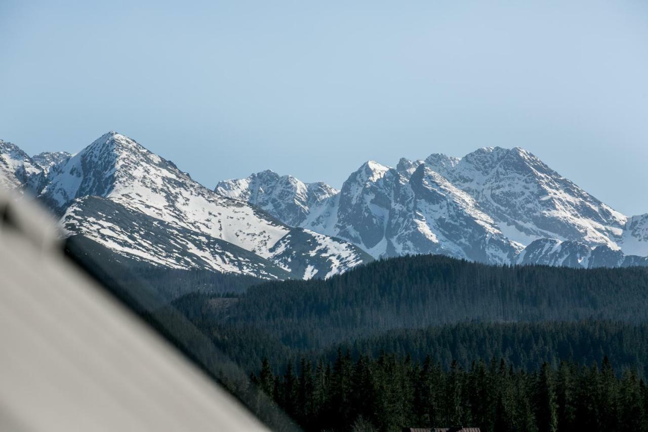 Eco Willa Karpatia Ski&Wellness Murzasichle Bagian luar foto